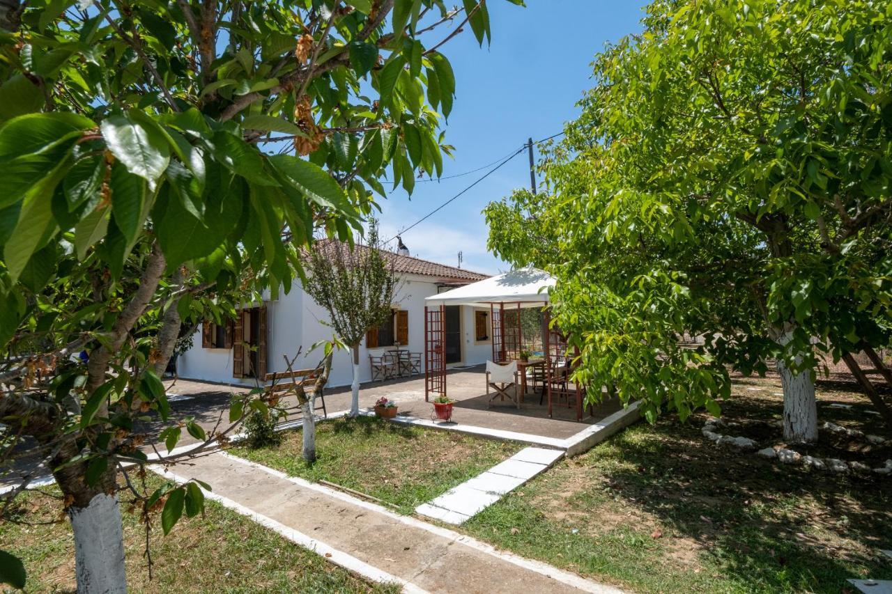 Nagia'S House, Εξοχική Κατοικία Κοντά Στη Θάλασσα! Korakochori ภายนอก รูปภาพ